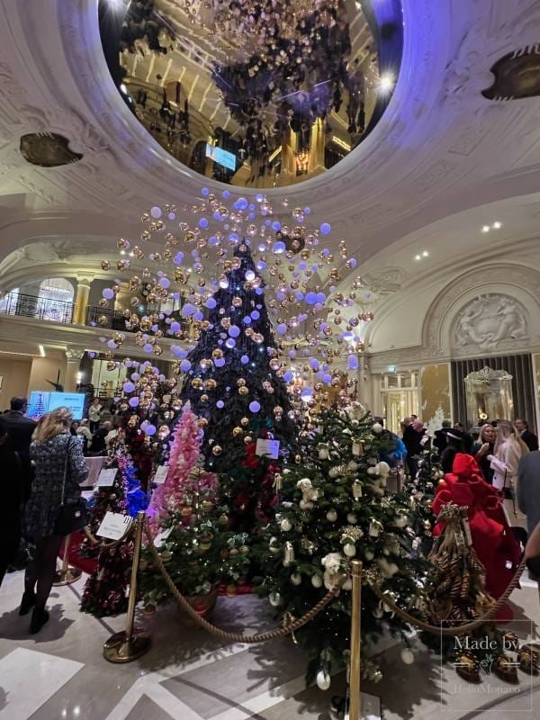 Les enchères de sapins de Noël récoltent 136 000 € pour Action Innocence