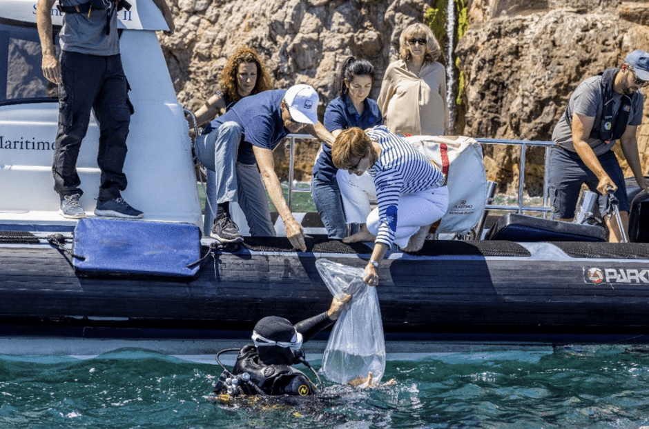 Lucky fish, rescued in Larvotto, returned to the sea