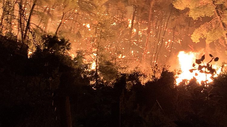 Prince Albert II pledges support as Iberian wildfires devastate Spain and Portugal