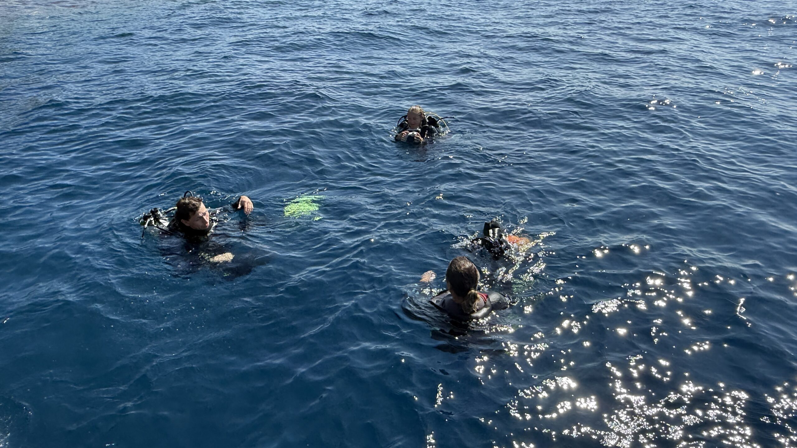 Monaco plonge en profondeur: l'élite de photographie sous-marine du monde descend sur la Principauté