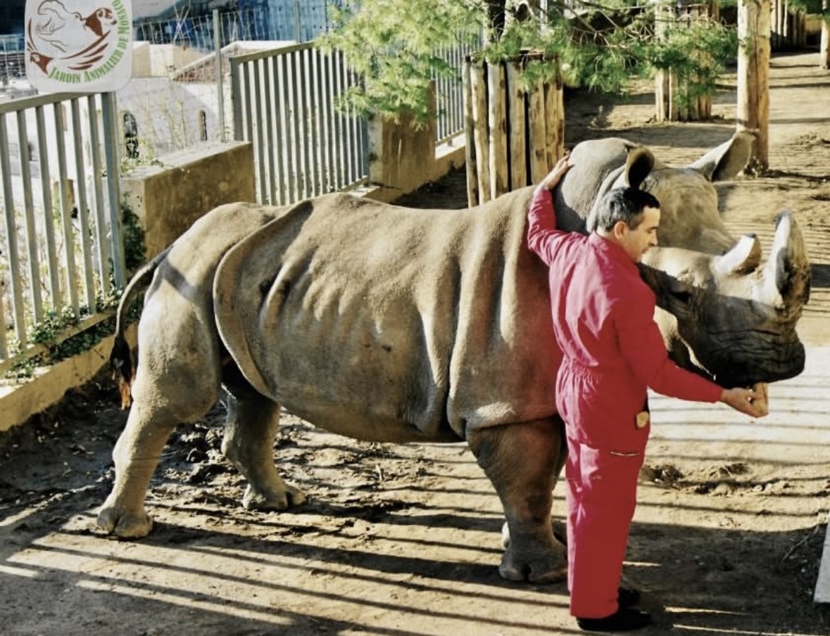 Monaco pleure Marguerite le rhinocéros sauvé par le Prince Rainier