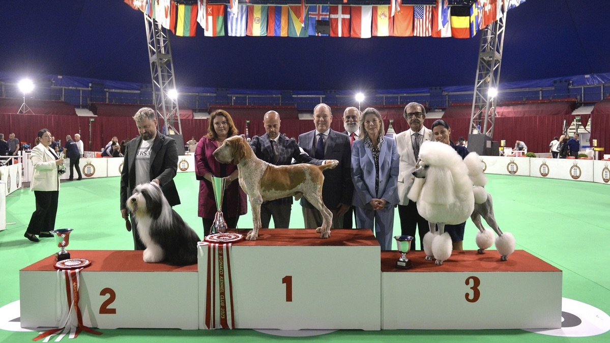 Monaco accueille des centaines de chiens pour une exposition internationale à Fontvieille