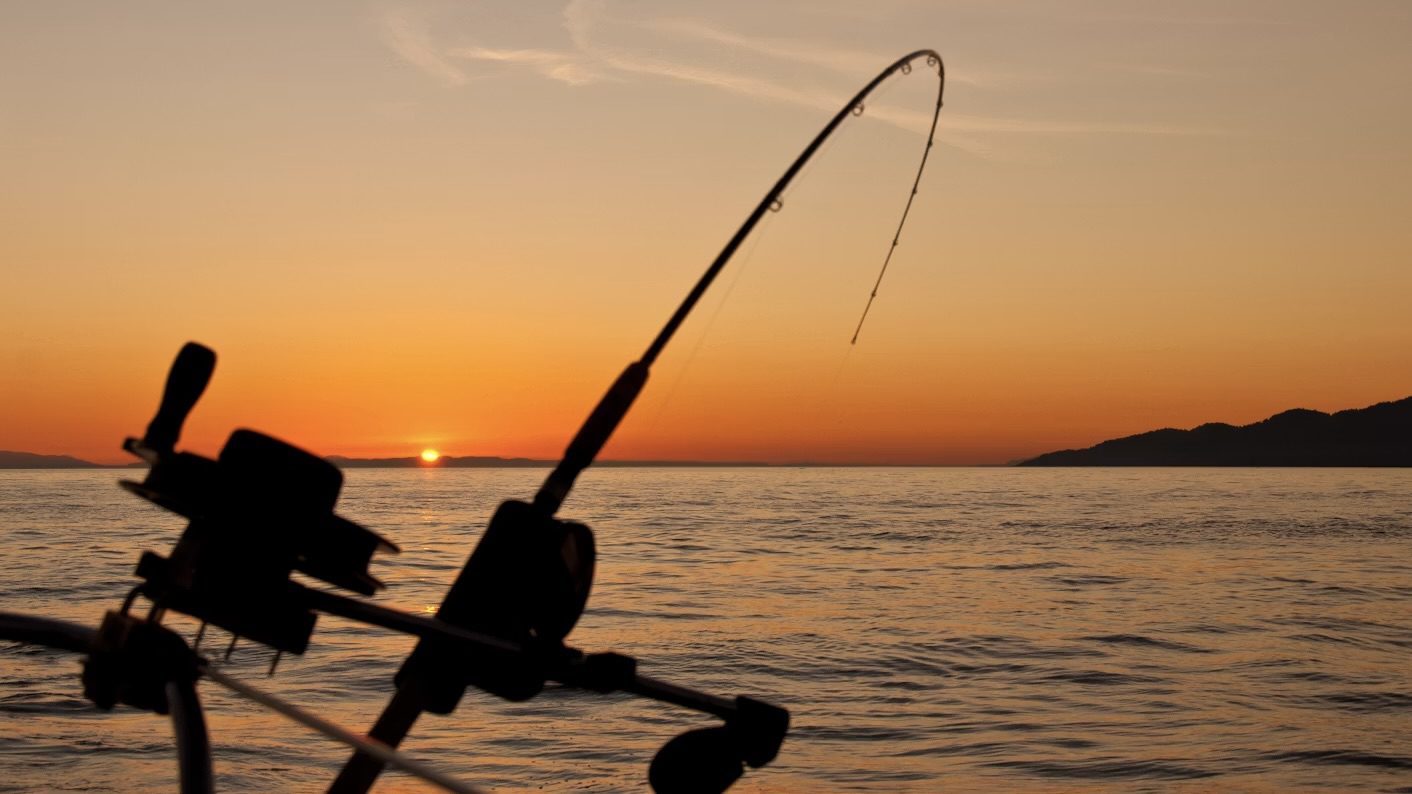 Hameçon, ligne et clic : Monaco numérise les déclarations de pêche à pied