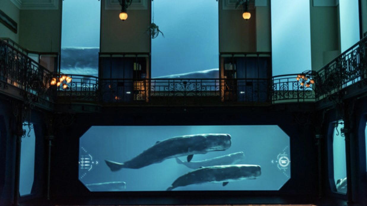 Le Musée océanographique de Monaco remporte un prix international pour l'expérience immersive de l'océan