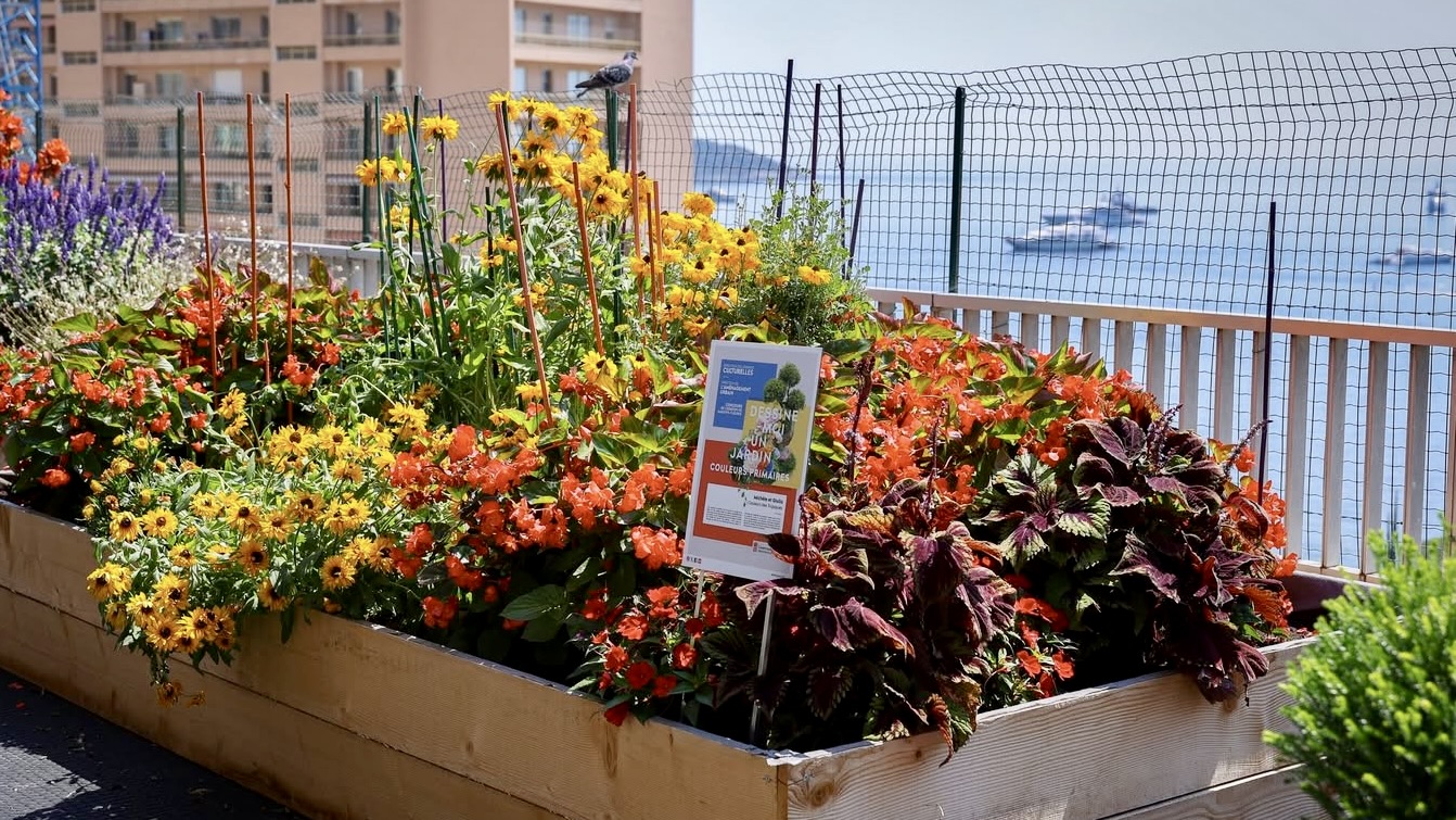 Les jardiniers en herbe de Monaco à l'honneur alors que le concours « Dessine-moi un jardin » fleurit pour la deuxième année