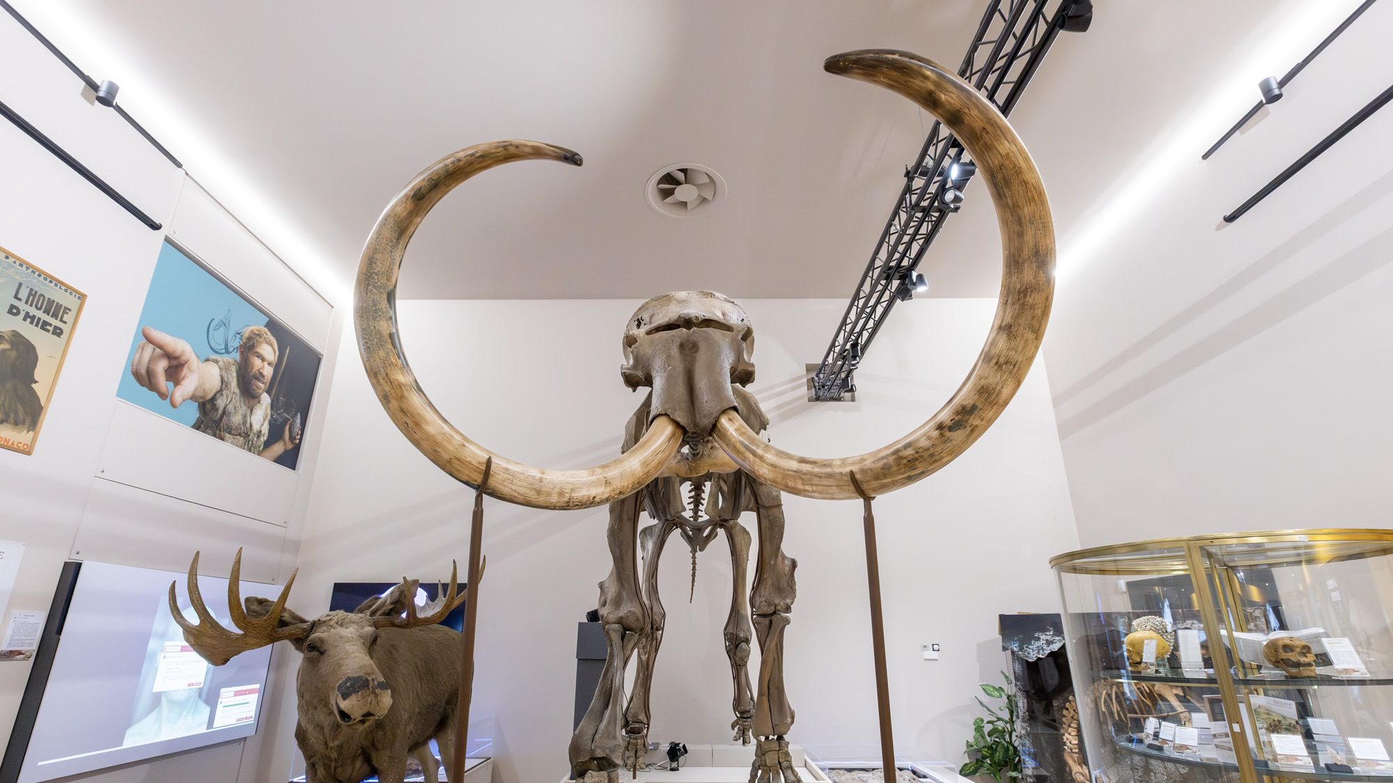 Le Musée d'Anthropologie Préhistorique de Monaco ouvre les candidatures pour la bourse de doctorat 2027